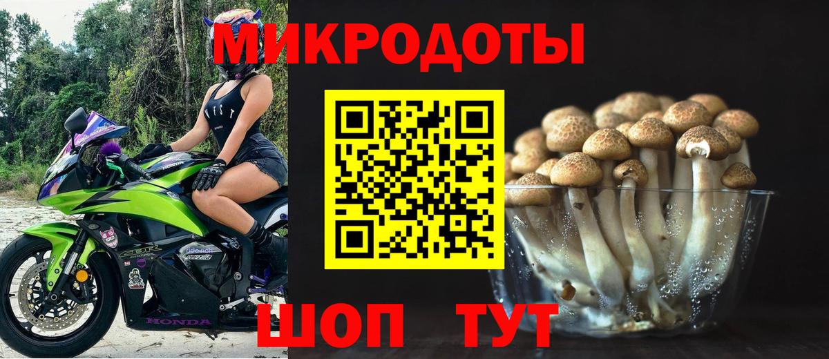 Малгобек  сколько стоит  Вход с VPN  Псилоцибиновые грибы Magic Shrooms 